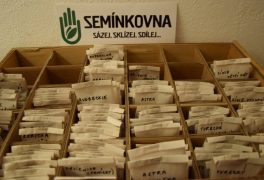 Pozor, pozor – lákadlo pro milovníky květin…
