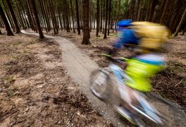 Současný stav singletracků