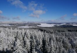 Nelyžujete? Nevadí, u nás i přes sníh můžete třeba na Paseckou skálu…
