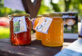 Farmářský trh provoní med a medové dobroty
