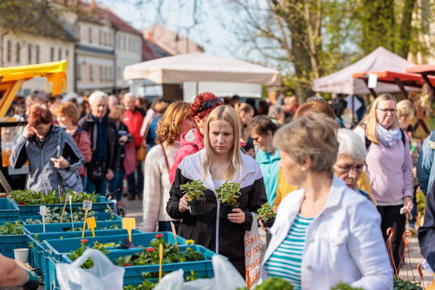 Centrum města zaplní farmáři a rukodělní výrobci – sobota 11. května