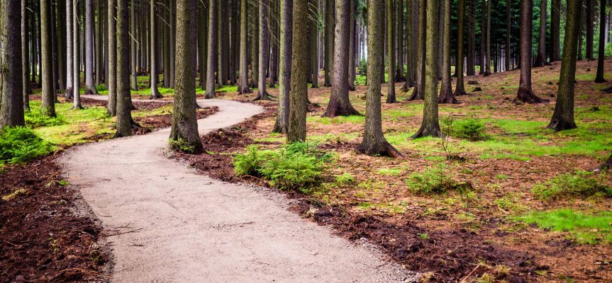 Sezóna cyklo tras 2025 je u konce