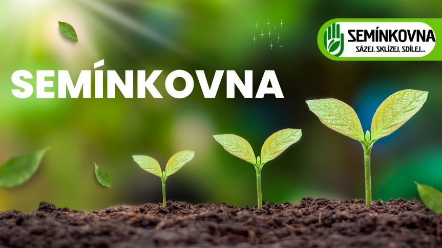 Semínkovna je zpět!